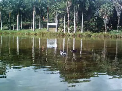 Humedales, reguladores de agua en épocas de invierno