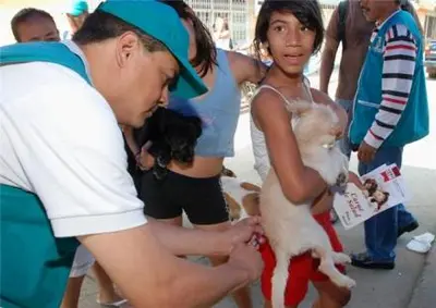 Perros y gatos fueron vacunados en Petecuy