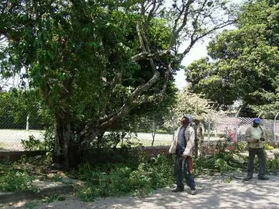 Recuperados parques en Jorge Zawadsky
