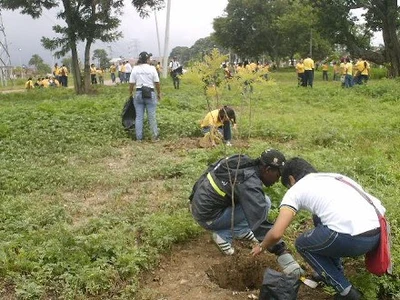Guayacán llegó al Oriente de la Ciudad para Quedarse