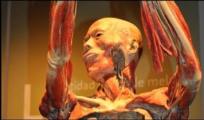 De Bogotá a Cali: Bodies, real + fascinante