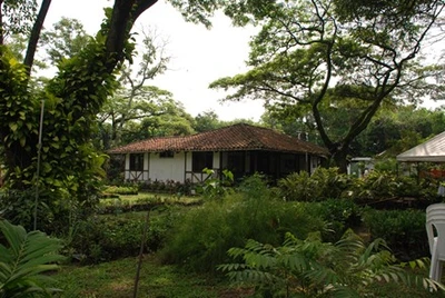 Viveros de Cali, unidos para recuperar especies nativas