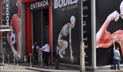 Bodies: más que cuerpos