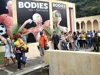 Alcaldía llevará 30.000 estudiantes gratis a Bodies