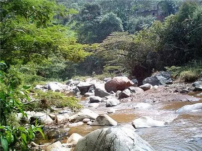 Dagma invierte en el mantenimiento del  predio El Danubio
