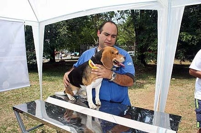 Tenencia responsable de mascotas