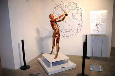 Estudiantes de Cali disfrutan de ‘Bodies: real + fascinante’