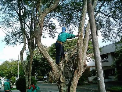 Certificarán trabajos en alturas
