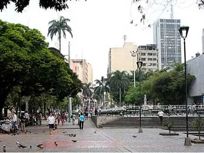 Dagma y Emcali mantienen palmas emblemáticas del Cam