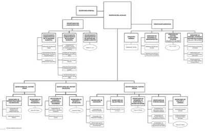Estructura Organizacional
