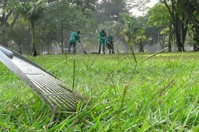 Dagma da mantenimiento a parques para festejos bicentenarios