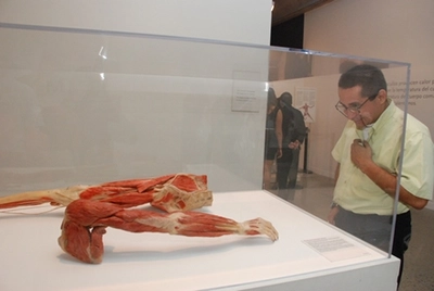 Descuento en la boletería nocturna de Bodies