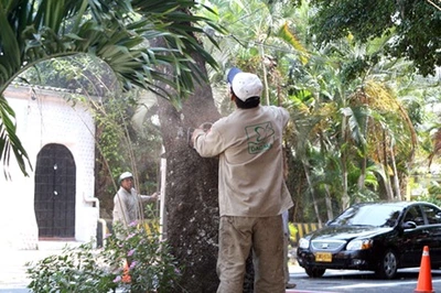 Millonarias multas a infractores ambientales