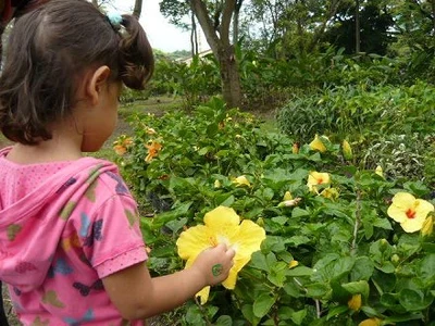Amplían plazo de inscripción para concurso de fotografía ambiental