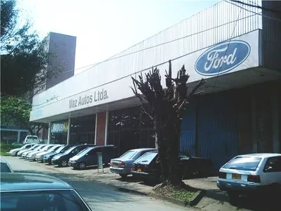 109 millones de pesos tendrá que pagar Maz Autos por tala de árboles