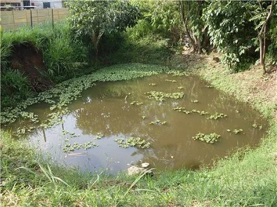 Dagma acompaña actividad en humedal El Limonar