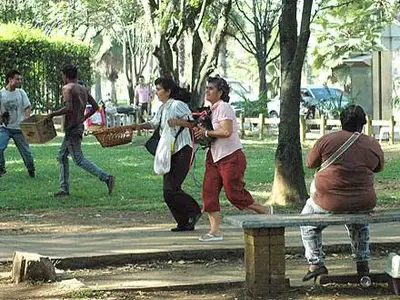 Se reubicarán vendedores de mascotas en Cali