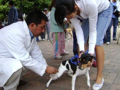 Tercera jornada de vacunación canina en la Comuna 5