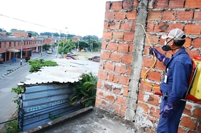 Intensifican fumigación contra plagas