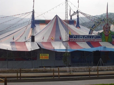 Indignación por muerte de leona en un circo