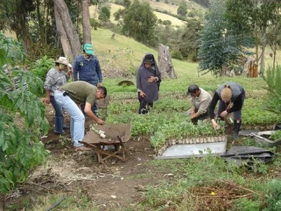 Localización de los asentamientos en la zona rural 