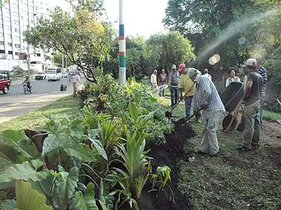 Nace un bello jardín