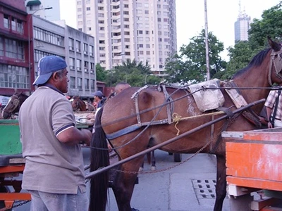 Administración trabaja con los carretilleros