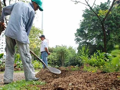 El espacio público es fundamental para generar inclusión: DAPM