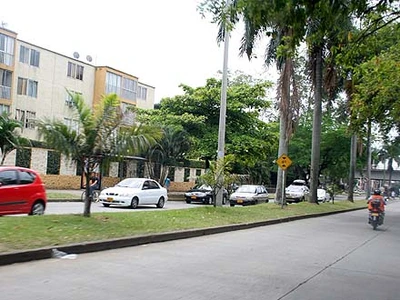 Alcalde (e) inspecciona estado de zonas verdes de Cali