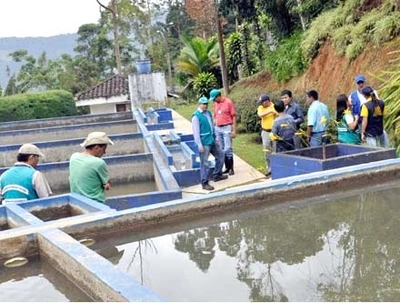 Agua potable en Felidia, Saladito y La Elvira, mejora al 100% la calidad de vida y la oferta turística