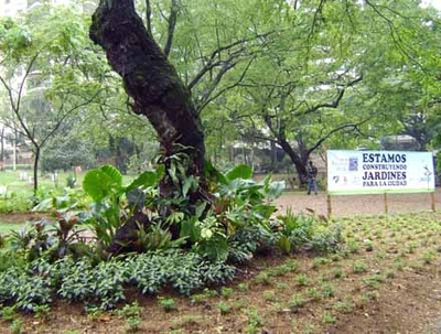 ‘Cali, un jardín’ florece