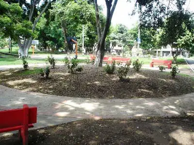 Dagma entrega más espacios verdes para Cali