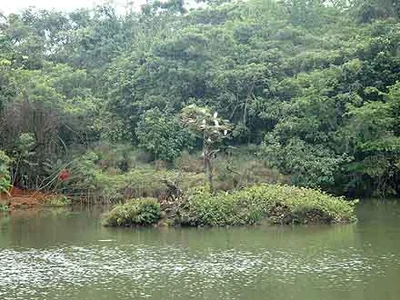 Avanza Plan Ambiental para Cali