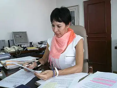 Dirección Jurídica da directrices sobre Ley de Garantías Electorales