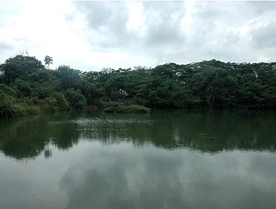 ¡Atención líderes ambientales de Cali!