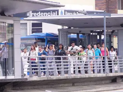 445 buses del MIO salieron a prestar servicio en el día sin carro