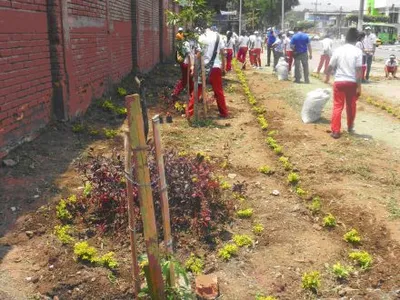 El Dagma y la empresa privada recuperan zona verde