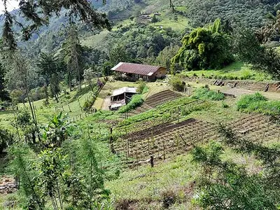 Conozca las haciendas del Valle del Cauca