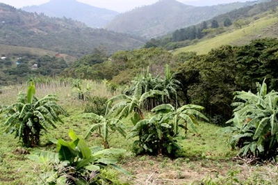 Consejos de Planeación: pilares del desarrollo local