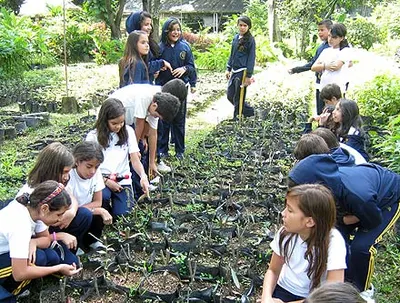 Visitas pedagógicas al Vivero Municipal