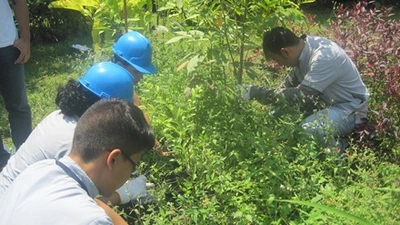 Estudiantes del Sena en el Vivero Municipal