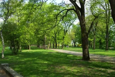 Guardas Cívicos recuperan parque de Pampalinda