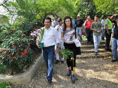 Cali, un jardín