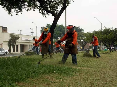 Se inició mantenimiento de zonas verdes en Cali