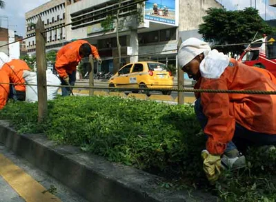 Dagma le apuesta a inclusión social, con mantenimiento de zonas verdes