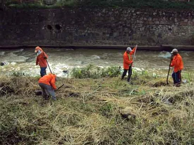 El Dagma inició mantenimiento en la ribera del río Cali