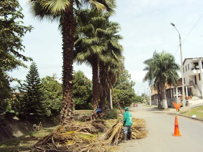 “Hay que aunar esfuerzos entre lo público y privado a favor del medio ambiente”: Directora Dagma