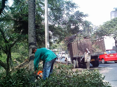 “Artículo 34 del proyecto de Ley de reforma al Sistema Nacional Ambiental es contraproducente para Cali”: Directora del Dagma