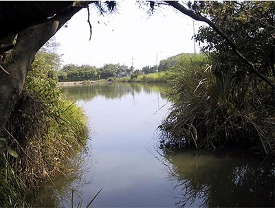 Protección de los humedales: una apuesta del Municipio