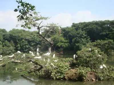 El Ecoparque Lago de las Garzas le hará un ‘Canto al agua’, este miércoles 21 de marzo